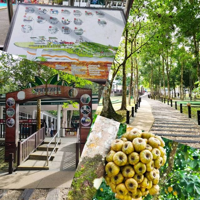 Educational Spritzer EcoPark in Taiping