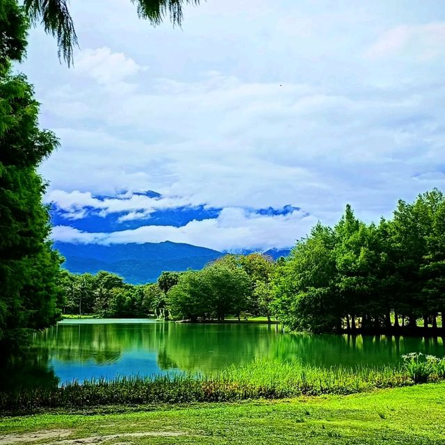 花蓮縱谷山水風光，巴士郵輪行
