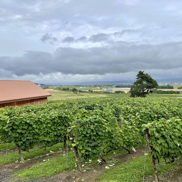 【富良野のフランス🇫🇷、カンパーナ六花亭】