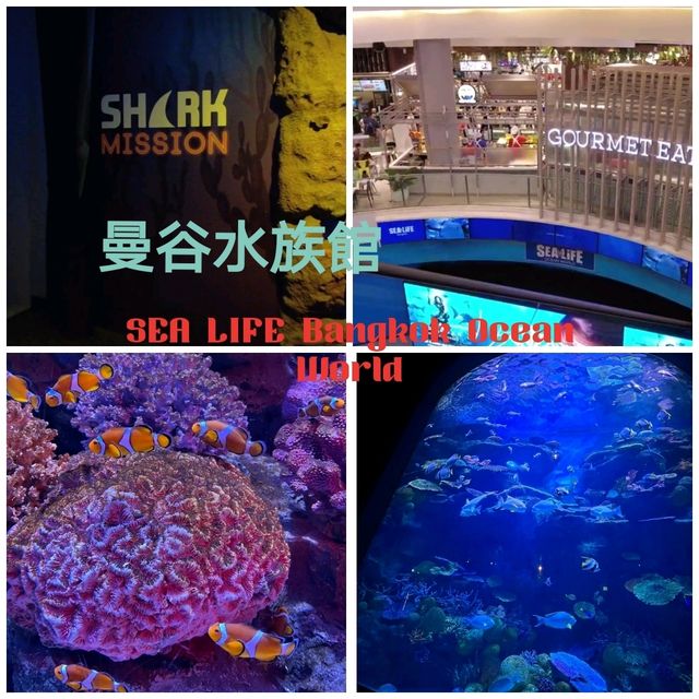 Siam Paragon購物中心有個水族館😍😍😍