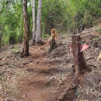 ภูซับเหล็ก ขึ้นเขาแค่ 400 เมตรแต่วิวหลักล้าน
