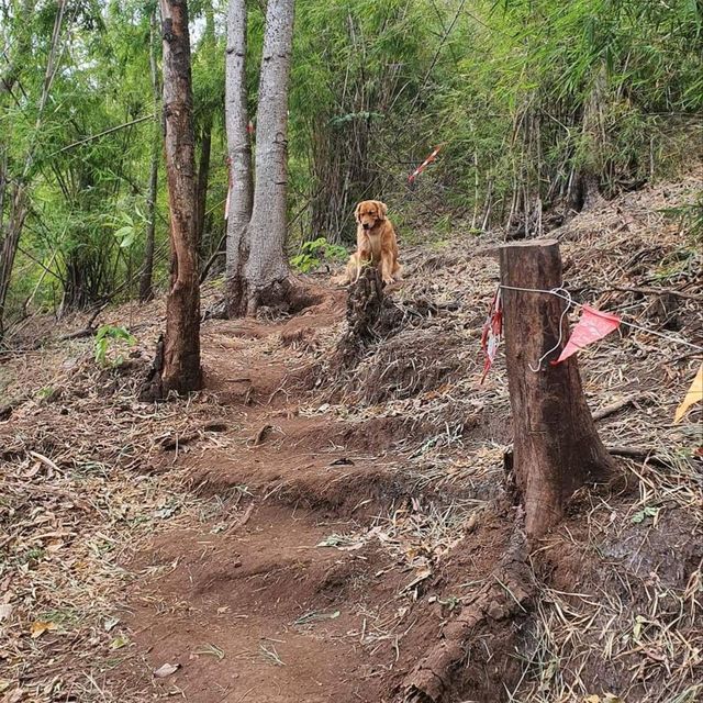ภูซับเหล็ก ขึ้นเขาแค่ 400 เมตรแต่วิวหลักล้าน