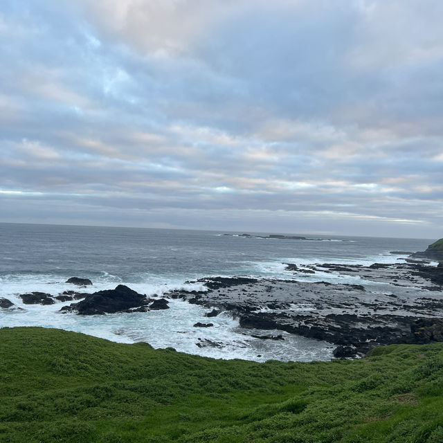 The nobbies view point at Philip Island 🏝️