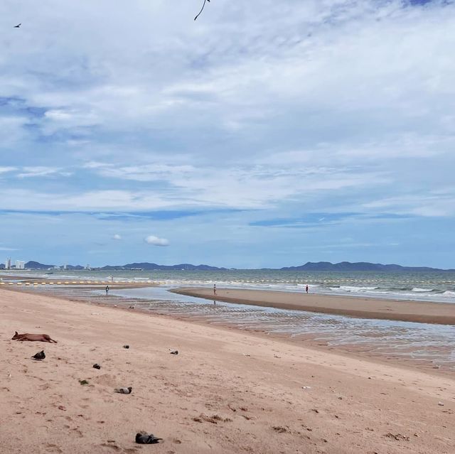 หาดจอมเทียน ชลบุรี🏖️🏖️