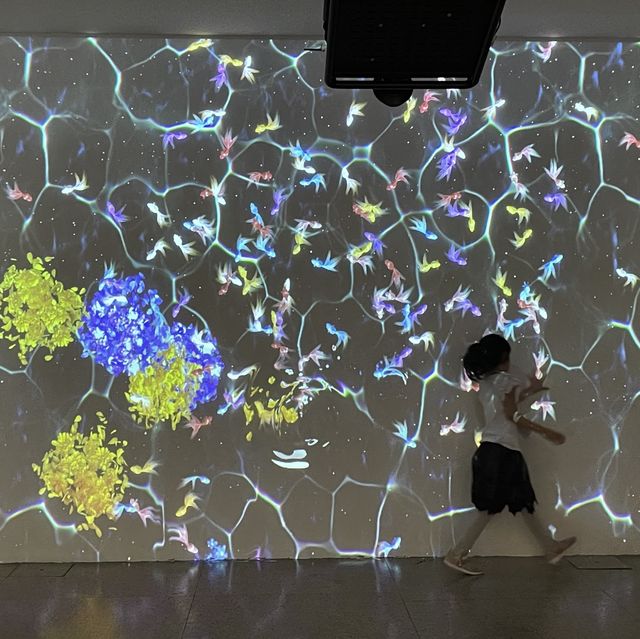 澳門國際藝術雙年展2023京都館•協同節奏 