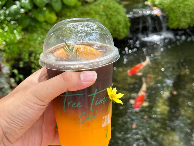 • TREE TIME Cafe &Garden ☕️✨