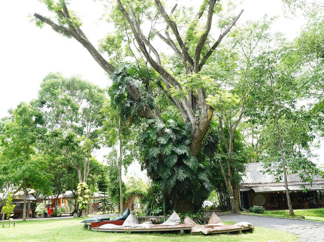 Assana Cafe Khaoyai 