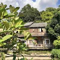 🏯🌳🏞️ 夢回古城～甘坑古鎮🚶‍♀️🌾🍜