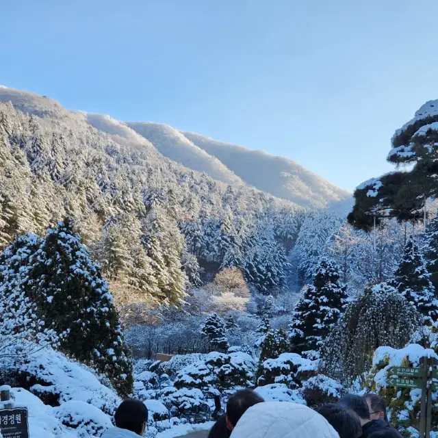 사계절이 예쁜 아침고요수목원🏞️