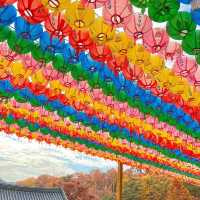 Fortune paper at Cheonggyesan Temple 