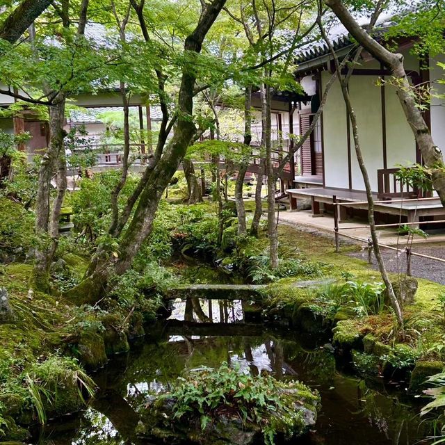 常寂光寺!!尋找內心寧靜的放鬆🌸🏯 