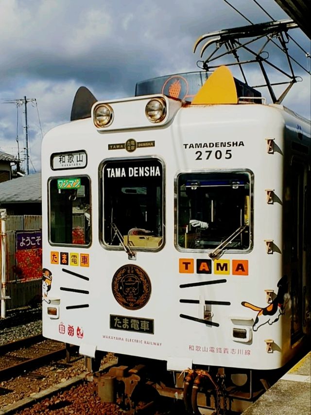 A Purrfect Tribute to Tama's Legacy