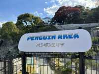 破格の600円で楽しめる動植物園！