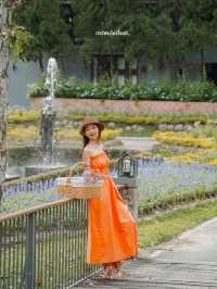 ให้ดอกไม้และขุนเขาโอบกอดเราที่ "Flora Creek"