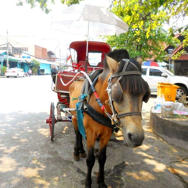 Horse-Drawn Carriage Through Lampang
 Old Town