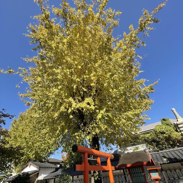 【福岡】筥崎宮参拝の際に