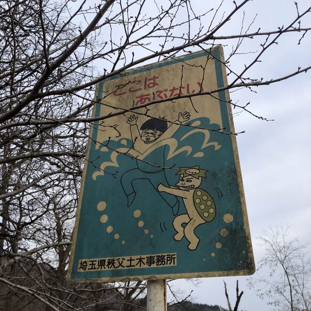 Wonder rocks 🪨 in western Japan
