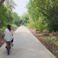 สะพานรักษ์ทะเลบางขุนเทียน