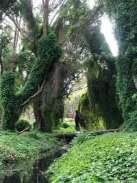 Perth 珀斯秘密花園(Secret Garden) | 世外桃源的景色
