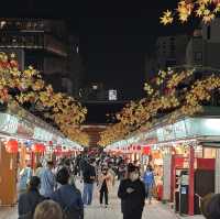【東京】夜遅くの浅草寺さんぼ