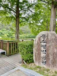 부산의 숨은 데이트 명소 용소웰빙공원 ✨