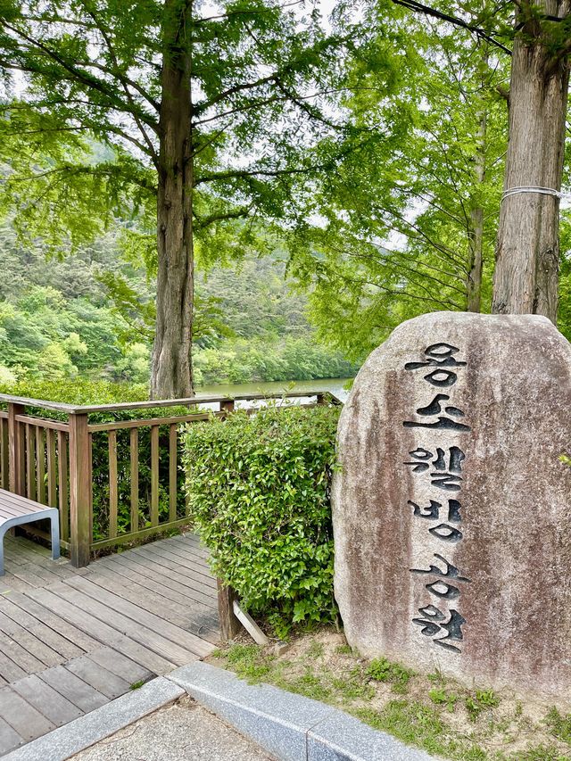부산의 숨은 데이트 명소 용소웰빙공원 ✨
