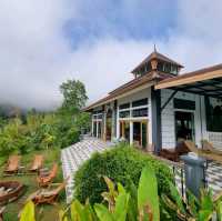 Magical Mountain View Resort