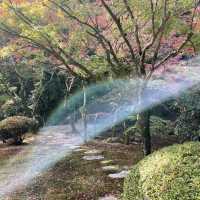 佐賀の紅葉スポット