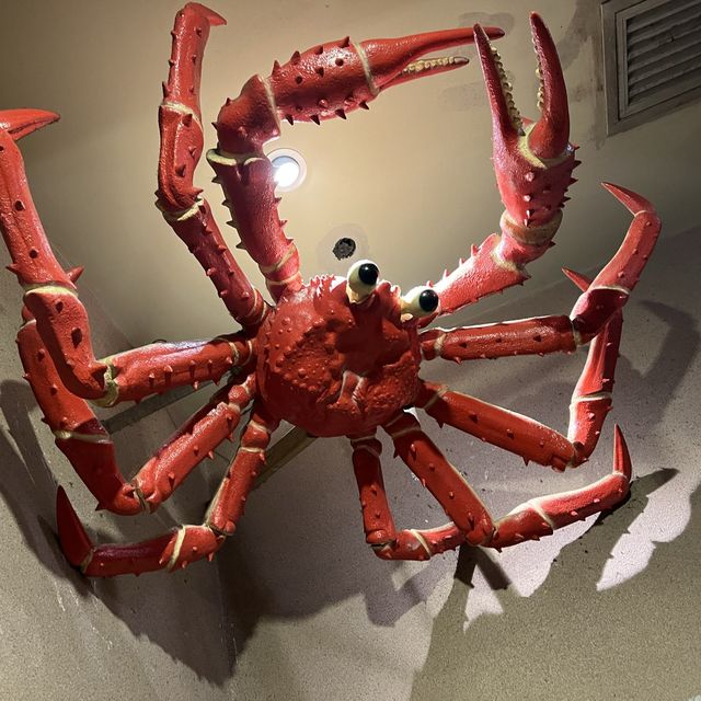 🍤🦀🐙去蟹慶食海鮮盛宴