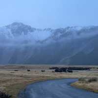 God’s own country- New Zealand 