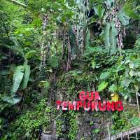 Gua Tempurung: A Subterranean Wonder