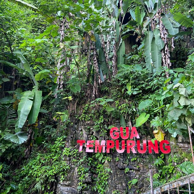 Gua Tempurung: A Subterranean Wonder