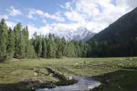 Fairy Meadows เทพนิยาย ของปากีสถาน