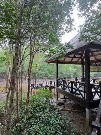 ไปหัวหิน แวะเที่ยวป่าชายเลนที่ปราณบุรี