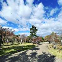 円山公園