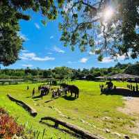 Kanta Elephant Sanctuary