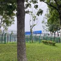 【城市中的巨大綠洲：深圳灣公園】
