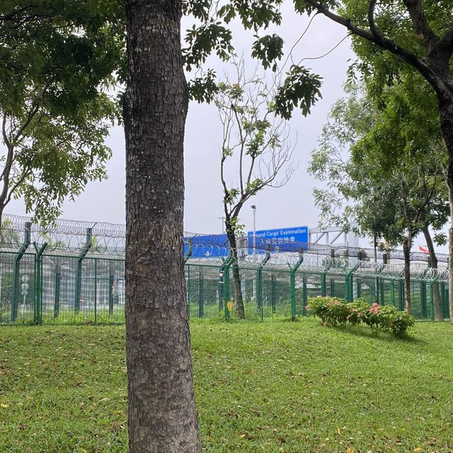 【城市中的巨大綠洲：深圳灣公園】