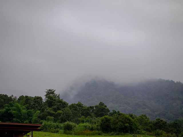 ที่พักแม่แตง เชียงใหม่พร้อมวิวภูเขา