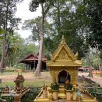 Whispers of Wisdom: Pagoda and School