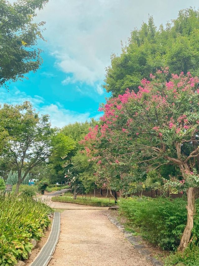 동화 속 인지 현실인지 너무 아름다운 ‘전주 수목원’🌲