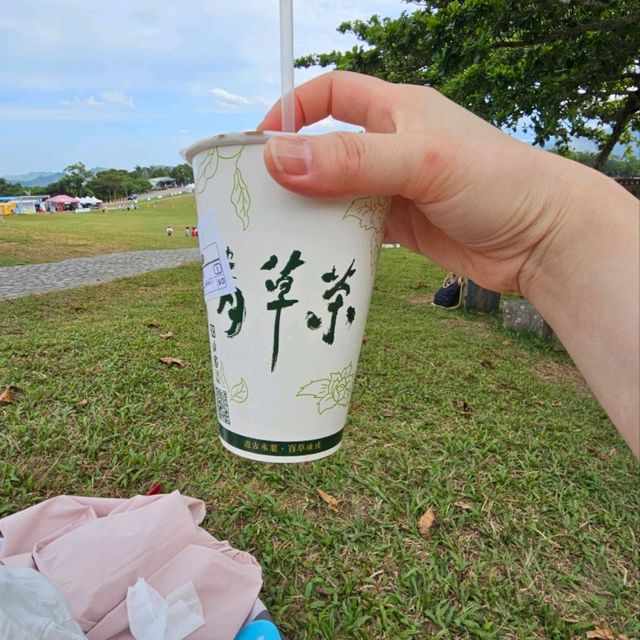 享受翱翔天際的快感-台東鹿野高台