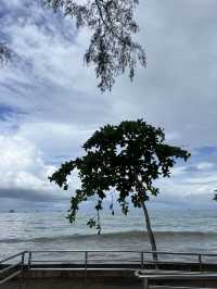 เที่ยวหาดนพรัตน์ธารา ถ่ายรูปกับหอยยักษ์ 🐚