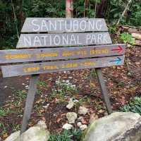 Santubong Summit!