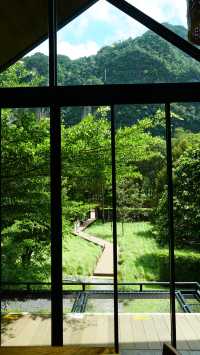 Into the forest จ.กระบี่