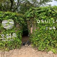 【濟洲】龍頭岩、彩虹海岸、小馬燈塔、綠茶博物館，最後一天濟洲行程必遊！