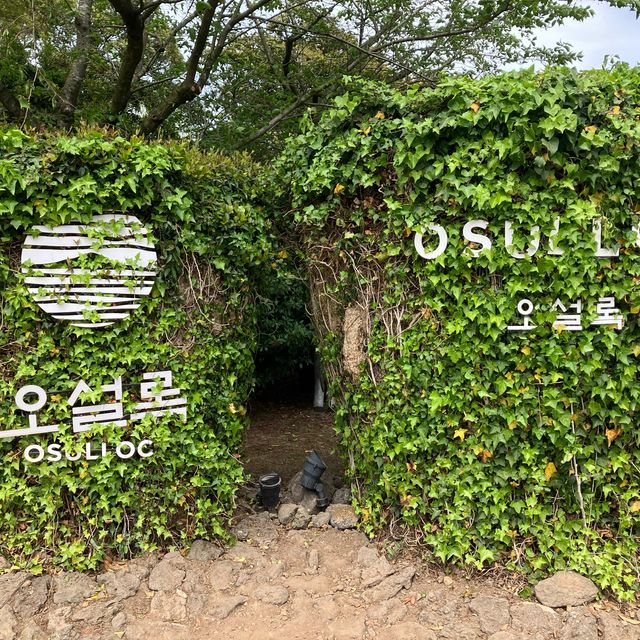 【濟洲】龍頭岩、彩虹海岸、小馬燈塔、綠茶博物館，最後一天濟洲行程必遊！