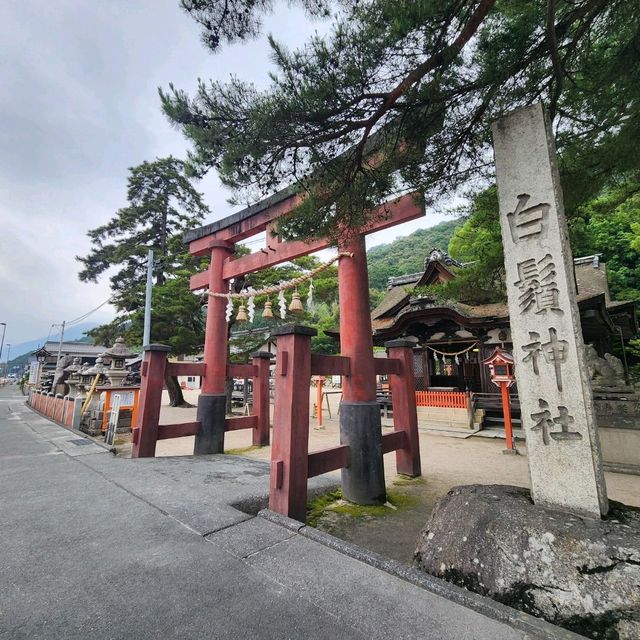 滋賀琵琶湖．白鬚神社 - 夢幻水中鳥居