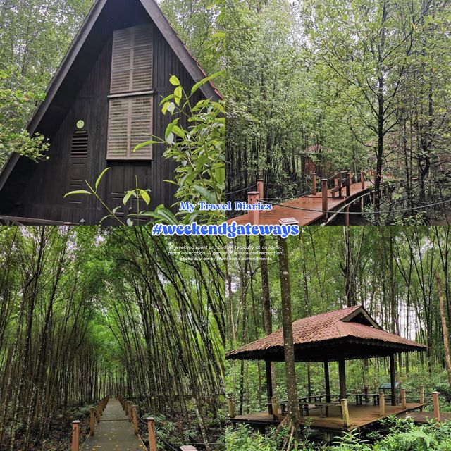 Matang Mangrove Forest Reserve Eco Park