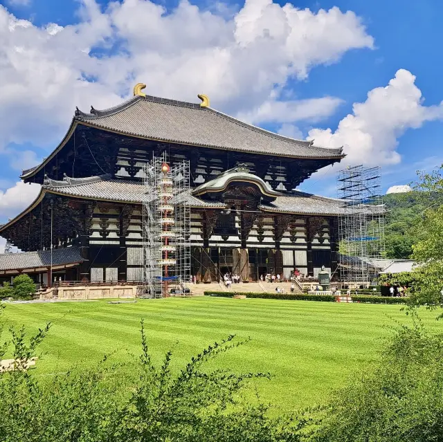 Nara Park 